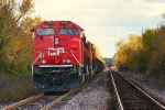 CP 7005